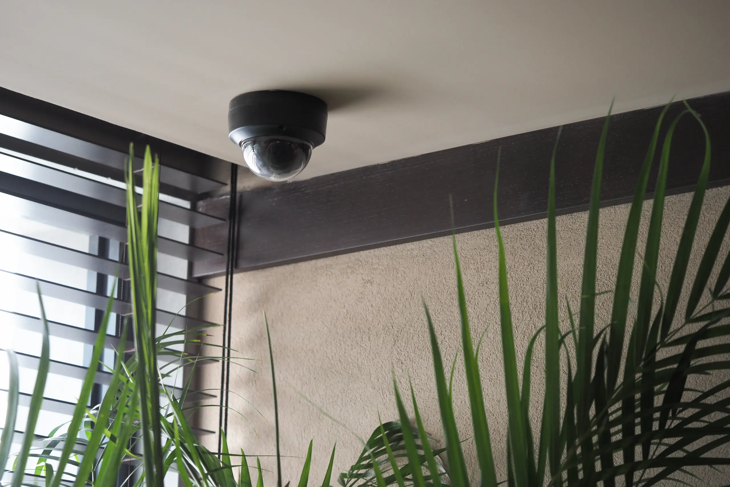 Renforcez la protection de votre maison lorsqu’elle est inoccupée grâce à une solution de sécurité intégrée.